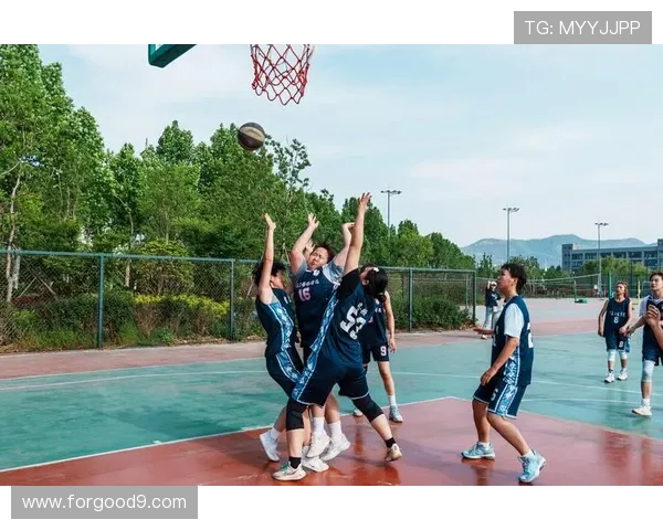 光影里的体育瞬间：荣耀与坚守同行