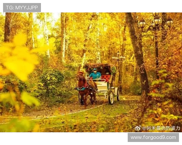 秋日阿勒泰,那束橙色的暖光 秋日阿勒泰,那束橙色的暖光